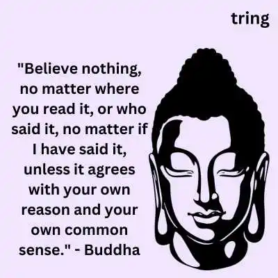 Quotes From Buddha For Video Messages .png Quotes From Buddha For Video Messages