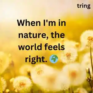 Quotes On Nature (4)