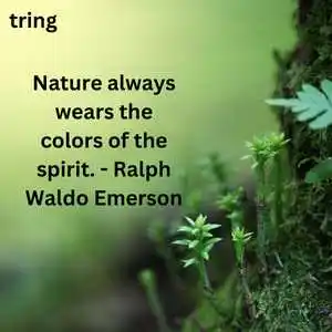 Quotes On Nature (5)