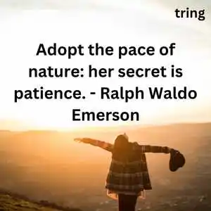 Quotes On Nature (6)