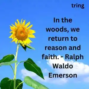 Quotes On Nature (8)