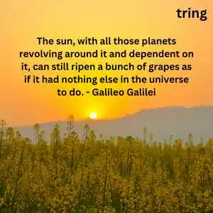 Quotes On Nature (10)