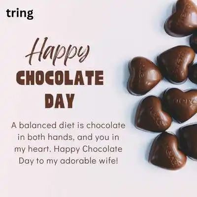 Funny Chocolate Day Quotes For Wife