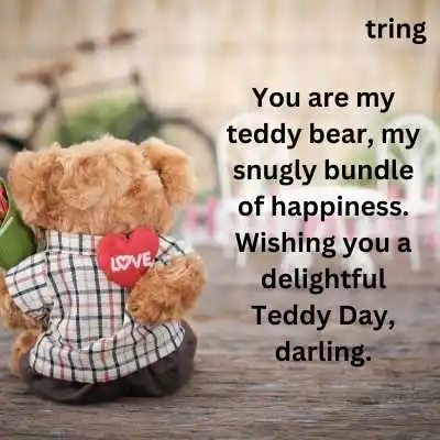 Teddy Day Quotes for Wife.png Teddy Day Quotes for Wife