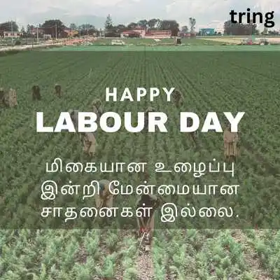 தொழிலாளர் தின வாழ்த்துகள்.png தொழிலாளர் தின வாழ்த்துகள்