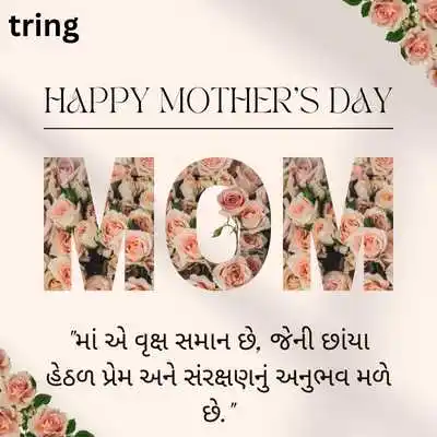 માતા માટે કોટ્સ.png માતા માટે કોટ્સ