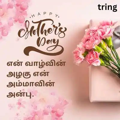 அன்னையர் தின மேற்கோள்கள்.png அன்னையர் தின மேற்கோள்கள்