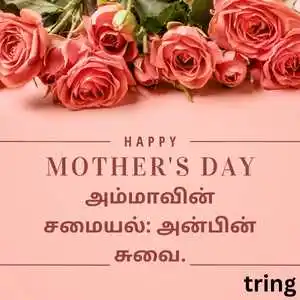 Mothers Day Quotes In Tamil (3).png Mothers Day Quotes In Tamil (3)