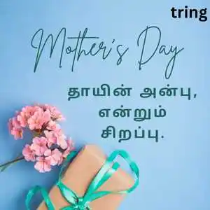 Mothers Day Quotes In Tamil (7).png Mothers Day Quotes In Tamil (7)