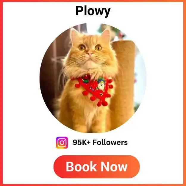 Plowy