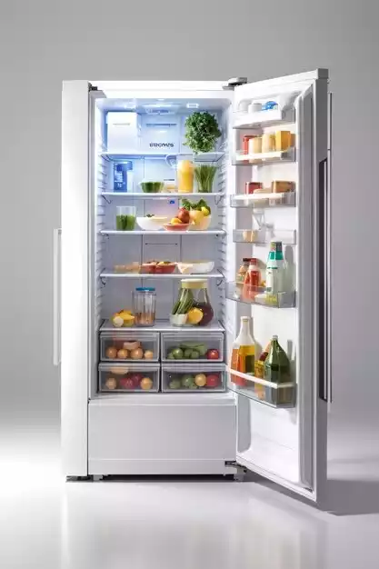 Refrigerator Marketing