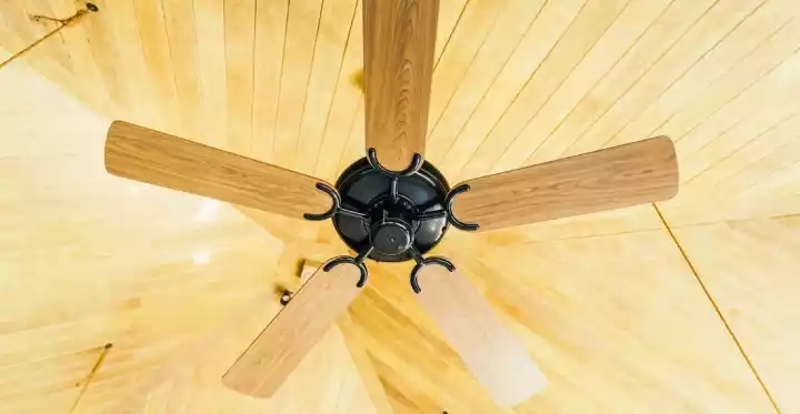 Fans Advertising - Ceiling fan