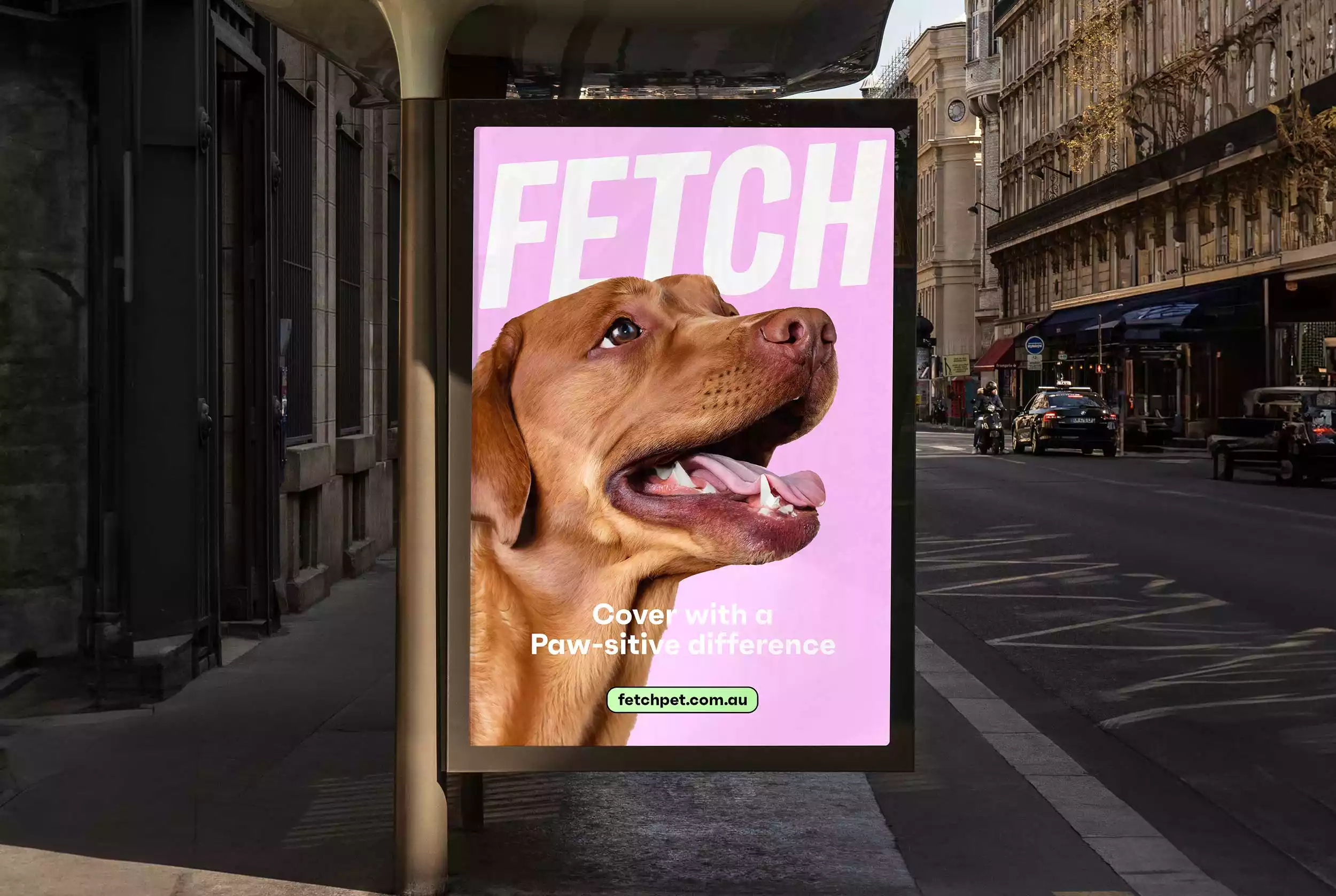 Pet Insurance Branding Pet Insurance Branding