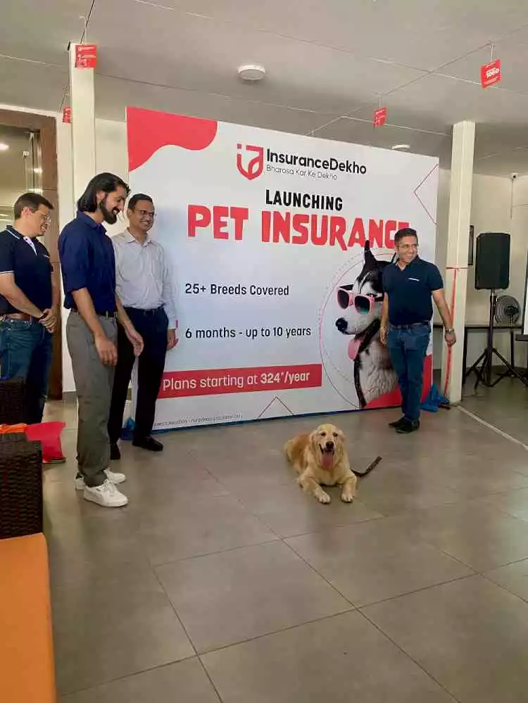 Pet Insurance Promotion Pet Insurance Promotion