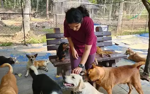 Partnerships with Animal Shelters.tring Partnerships with Animal Shelters