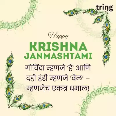 Funny Dahi Handi Quotes in Marathi