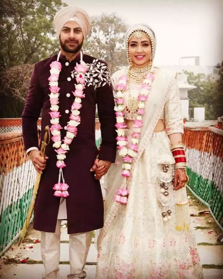 karan-veer-mehra-nidhi-marriage.jpg