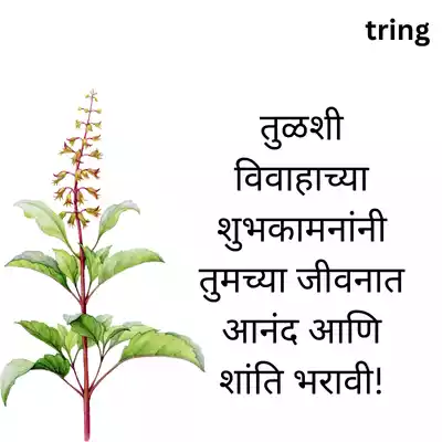 Tulsi Vivah Wishes in Marathi/ तुळशी विवाहाच्या शुभेच्छा.png Tulsi Vivah Wishes in Marathi/ तुळशी विवाहाच्या शुभेच्छा