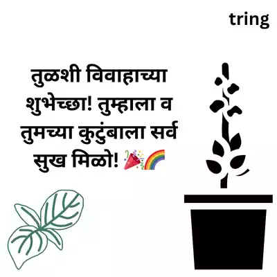 Tulsi Vivah Wishes for WhatsApp in Marathi/ व्हॉट्सॲपवर तुळशी विवाहाच्या शुभेच्छा.png Tulsi Vivah Wishes for WhatsApp in Marathi/ व्हॉट्सॲपवर तुळशी विवाहाच्या शुभेच्छा