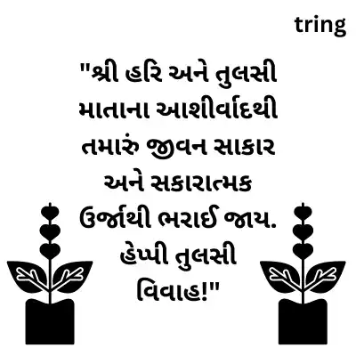 Tulsi Vivah Wishes for Whatsapp in Gujarati/ તુલસી વિવાહ વોટ્સએપ માટે શુભેચ્છાઓ.png Tulsi Vivah Wishes for Whatsapp in Gujarati/ તુલસી વિવાહ વોટ્સએપ માટે શુભેચ્છાઓ