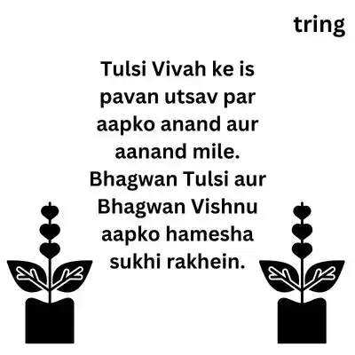 Tulsi Vivah Wishes in Hindi.jpg Tulsi Vivah Wishes in Hindi