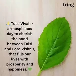 tulsi vivah wishes (9).jpg tulsi vivah wishes (9).jpg