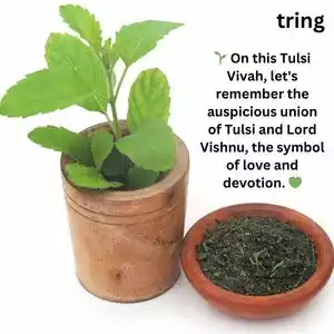 tulsi vivah wishes (1).jpg tulsi vivah wishes (1).jpg