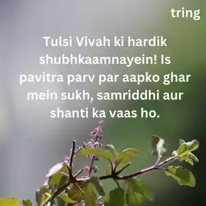 tulsi vivah wishes (3).jpg tulsi vivah wishes (3).jpg