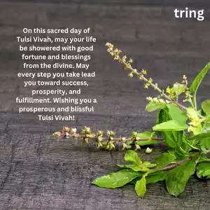 tulsi vivah wishes (5).jpg tulsi vivah wishes (5).jpg