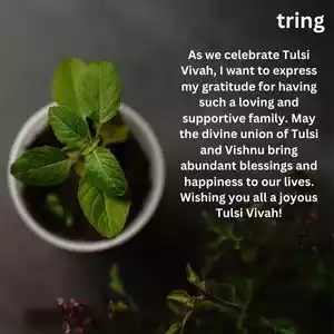 tulsi vivah wishes (6).jpg tulsi vivah wishes (6).jpg