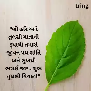 tulsi vivah wishes in gujarati (8).jpg tulsi vivah wishes in gujarati (8).jpg