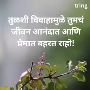 tulsi vivah wishes in marathi (6).jpg tulsi vivah wishes in marathi (6).jpg