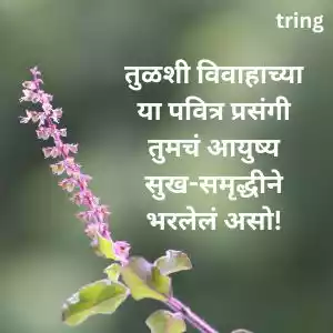 tulsi vivah wishes in marathi (7).jpg tulsi vivah wishes in marathi (7).jpg