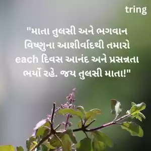 tulsi vivah wishes in gujarati (2).jpg tulsi vivah wishes in gujarati (2).jpg
