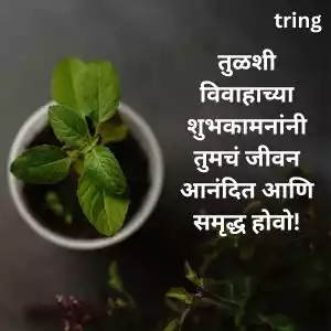 tulsi vivah wishes in marathi (9).jpg tulsi vivah wishes in marathi (9).jpg
