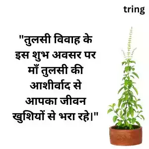tulsi vivah wishes in hindi (8).jpg tulsi vivah wishes in hindi (8).jpg