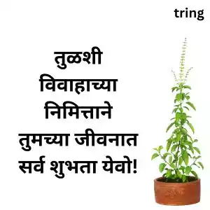 tulsi vivah wishes in marathi (10).jpg tulsi vivah wishes in marathi (10).jpg