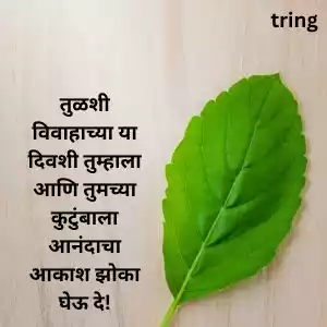 tulsi vivah wishes in marathi (2).jpg tulsi vivah wishes in marathi (2).jpg